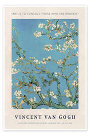 Almond Blossom