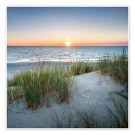 Dune Landscape on Sylt