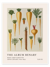 Flower Market - Bloemenmarkt Amsterdam