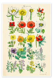 Herbs and spices (german)