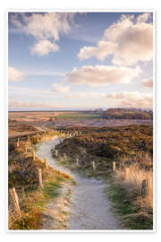 Path through the dunes, Baltic Sea