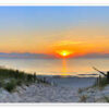 Path through the dunes, Baltic Sea