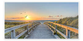 Path through the dunes, Baltic Sea