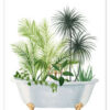 Plant Bath I