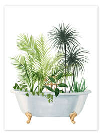 Plant Bath I