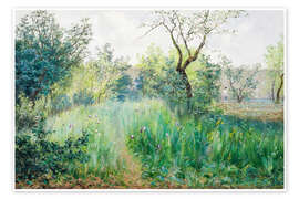 Poppy Field, Argenteuil