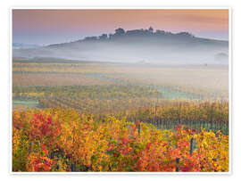 Poppy Field, Argenteuil