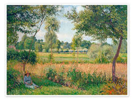 Poppy Field, Argenteuil