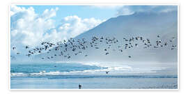 Seagulls above the Ocean Waves