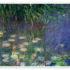 Water Lilies