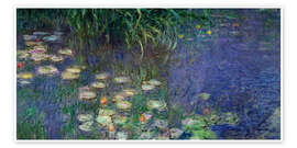 Water Lilies