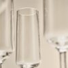 Set of 4 Angular Picnic Champagne Flutes