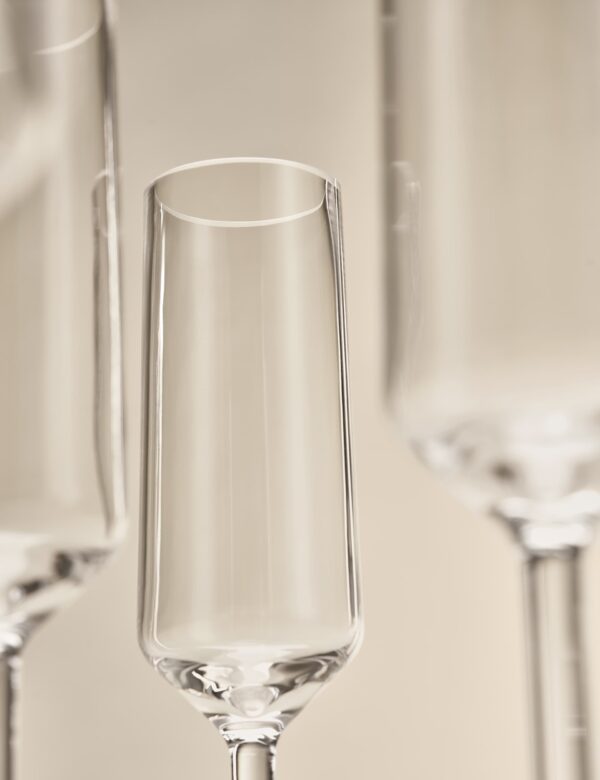 Set of 4 Angular Picnic Champagne Flutes