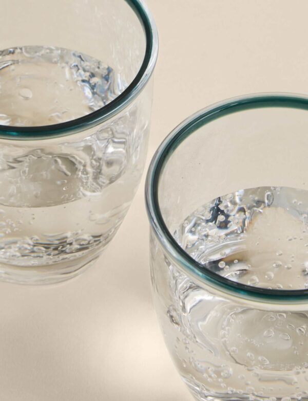 Set of 4 Contrast Rim Acrylic Picnic Tumblers