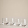 Set of 4 Maxim Tumblers