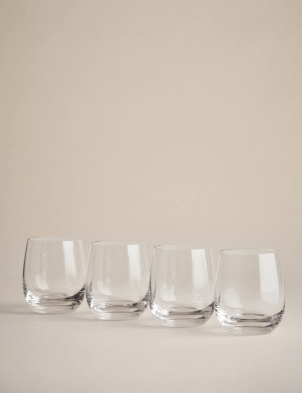 Set of 4 Maxim Tumblers