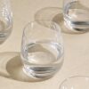 Set of 4 Maxim Tumblers