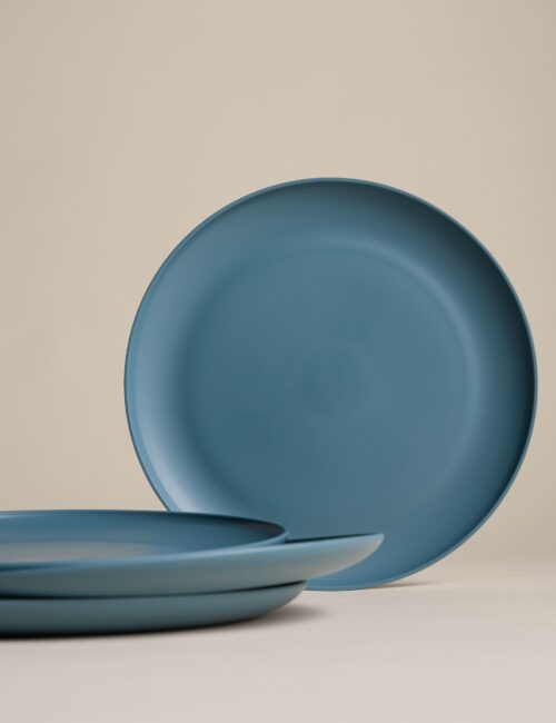 Set of 4 Picnic Dinner Plates