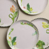 Set of 4 Picnic Dinner Plates