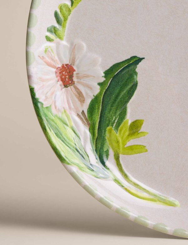 Set of 4 Picnic Dinner Plates