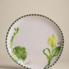Set of 4 Picnic Dinner Plates