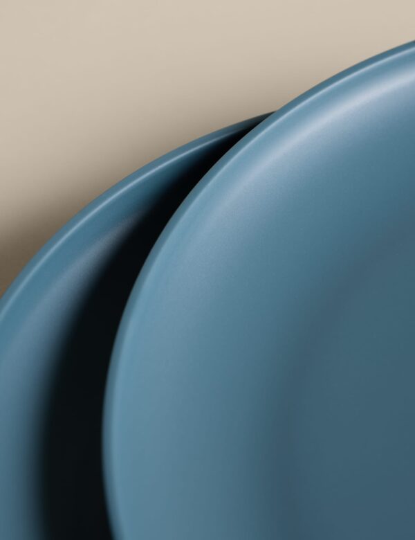 Set of 4 Picnic Dinner Plates