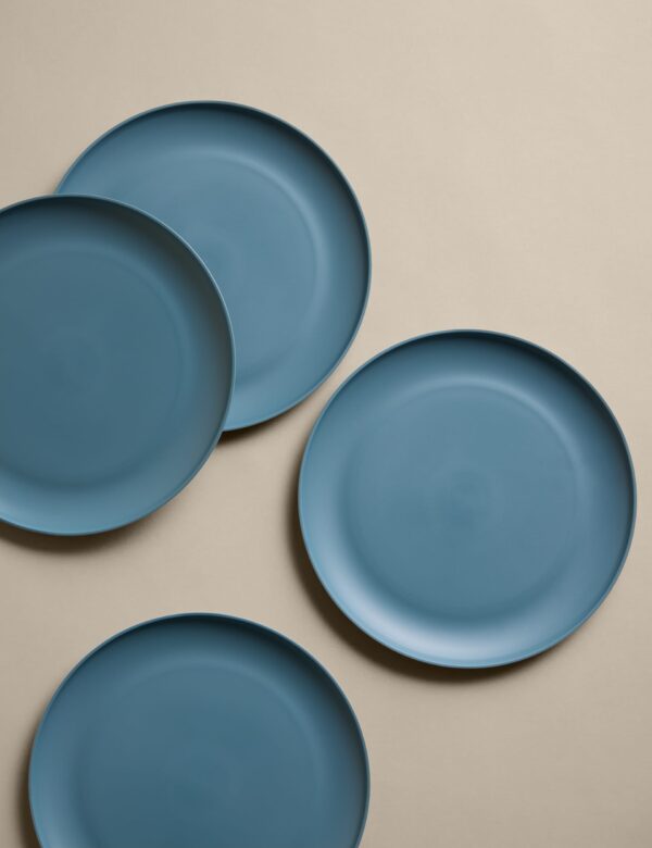 Set of 4 Picnic Dinner Plates